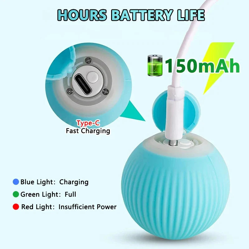 ZoomieRoller™ Smart Toy