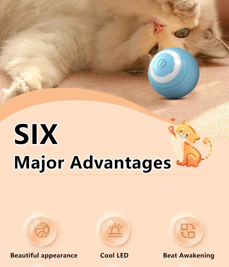 ZoomieRoller™ Smart Toy