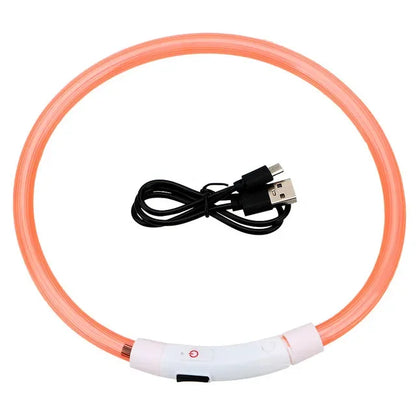 LED Light Dog Collar