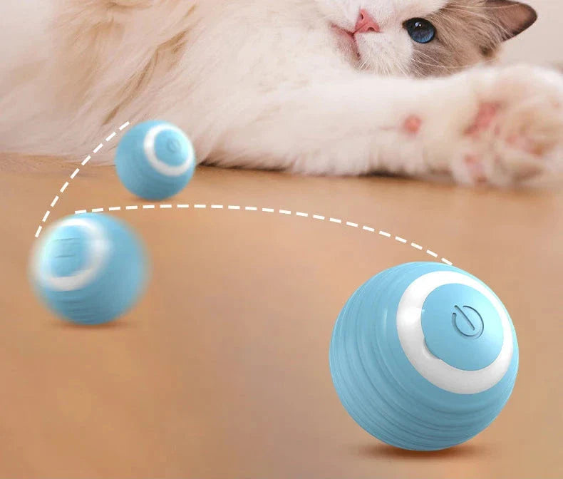 ZoomieRoller™ Smart Toy