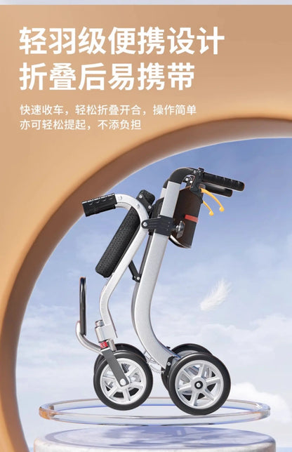 Assist Devices Senior Chairs Luggage Trolley Portable Device Senior Chairs Hand Brake Krzesło Prysznicowe Senior Furniture