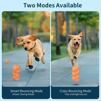 Smart Interactive Dog Toy Ball – USB Rechargeable, Automatic Bouncing & Rolling with RGB Lights for Dogs & Cats
