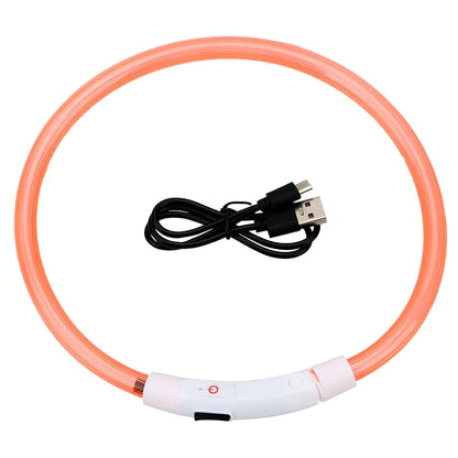 LED Light Dog Collar