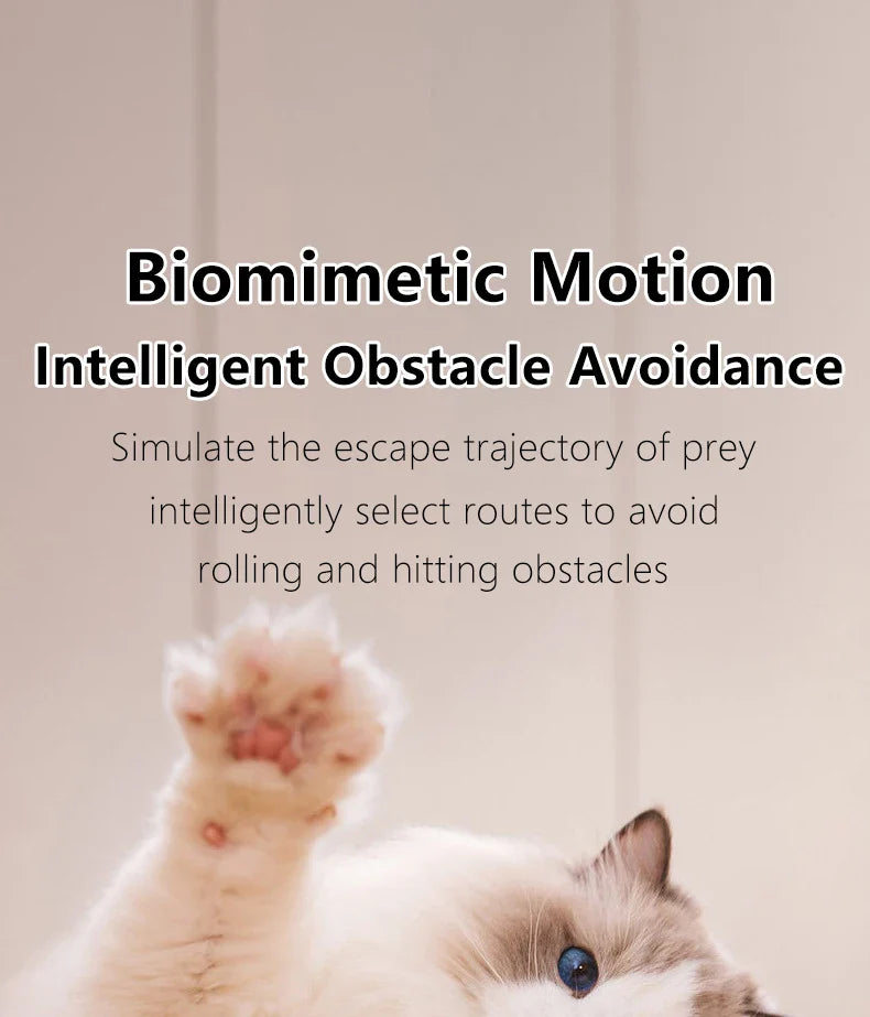 ZoomieRoller™ Smart Toy