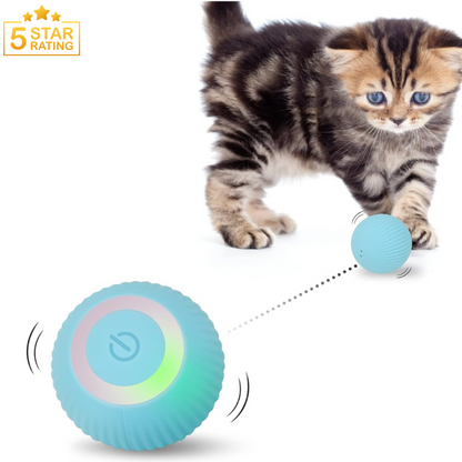 ZoomieRoller™ Smart Toy